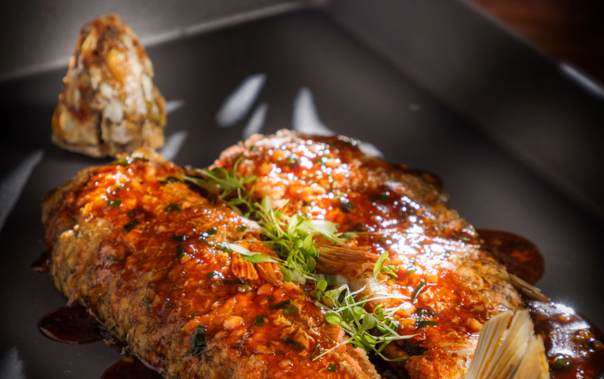 TASTE OF SHUNDE SET MENU